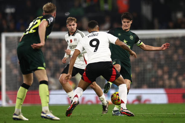 引起了球迷 引起了球迷